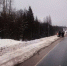 В ДТП в Куньинском районе погиб водитель - Luki.Ru