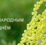 Руководство города поздравило великолучанок с Международным женским днём - Luki.Ru