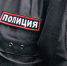 Спилил деревья в «Михайловском» - Luki-News.Ru
