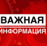 Памятка для населения по выявлению и уничтожению очагов наркосодержащих растений - Luki-News.Ru