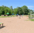 В Роспотребнадзоре рассказали, можно ли купаться в реке Ловать в Великих Луках - Luki.Ru