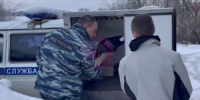 Животных спасли из плена квартиры в доме №114 на Октябрьском проспекте - Luki.Ru
