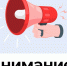 Фото: официальный телеграм-канал Псковской области - Vluki.Ru