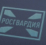 Псковские росгвардейцы изъяли за неделю 18 единиц оружия и более 100 боеприпасов - Luki.Ru