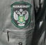 В Псковской области Россельхознадзор выявил нарушение при перевозке 18 тонн куриной продукции - Luki.Ru