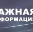 Изображение: телеграм-канал Михаила Ведерникова - Vluki.Ru