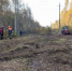В 2025 году в Псковской области отремонтировано 558 километров линий электропередачи - Luki.Ru