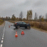 За неделю 15 человек пострадало на дорогах Псковской области - Luki.Ru