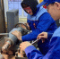 Первые шаги в профессии - Газета Великолукская правда